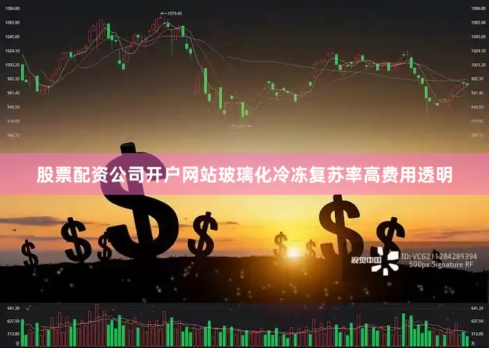 股票配资公司开户网站玻璃化冷冻复苏率高费用透明