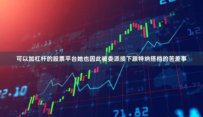 可以加杠杆的股票平台她也因此被委派接下跟特纳搭档的苦差事