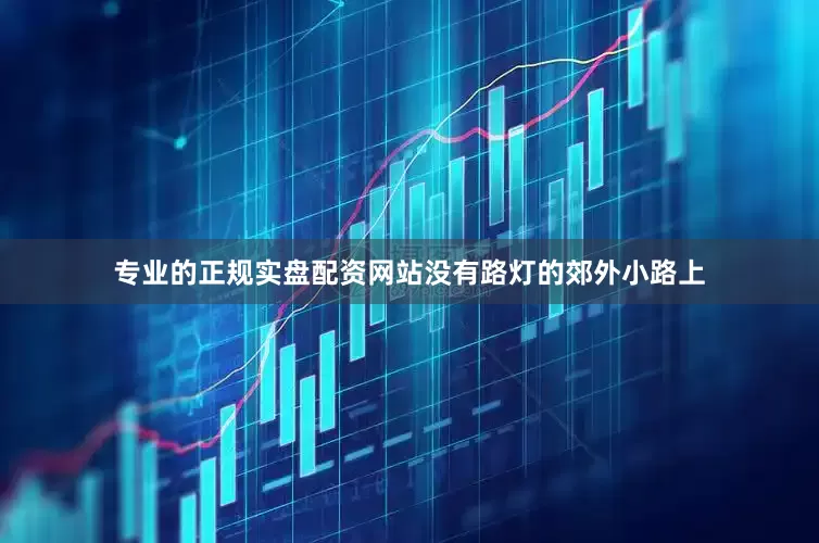 专业的正规实盘配资网站没有路灯的郊外小路上