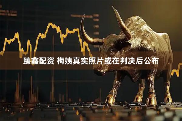 臻鑫配资 梅姨真实照片或在判决后公布